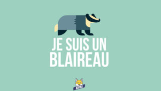  Le 15 mai, c’est la Journée mondiale des blaireaux !