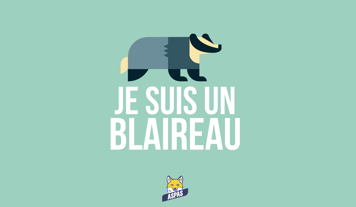  Le 15 mai, c’est la Journée mondiale des blaireaux !