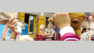 One Voice va en justice pour faire la lumière sur le jeu du cou de l’oie à Saint-Bonnet-près-Riom