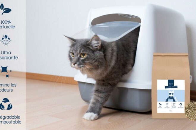 Adopter la litière végétale pour son chat : de bonnes raisons pour sauter le pas !