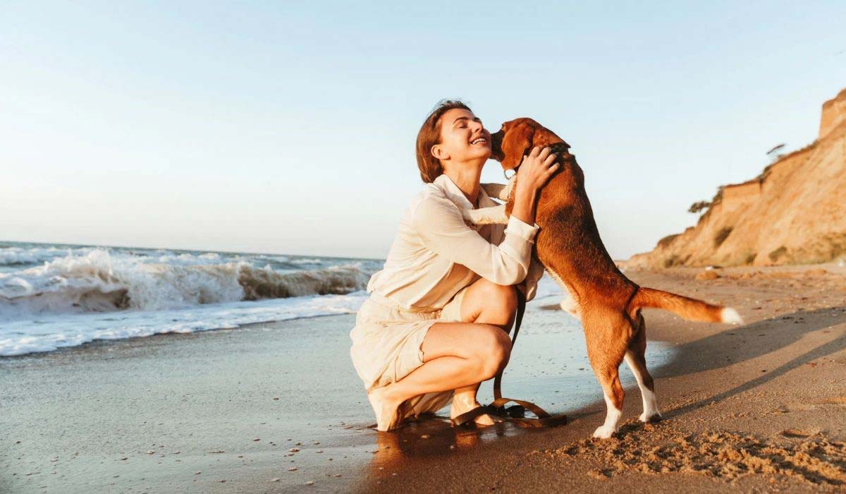 36% des français considèrent leur animal comme leur enfant. Ce chiffre grimpe à 46% chez les femmes de 35 à 44 ans