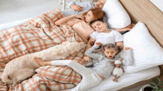 Journée du sommeil : 1 français sur 3 dort avec son animal