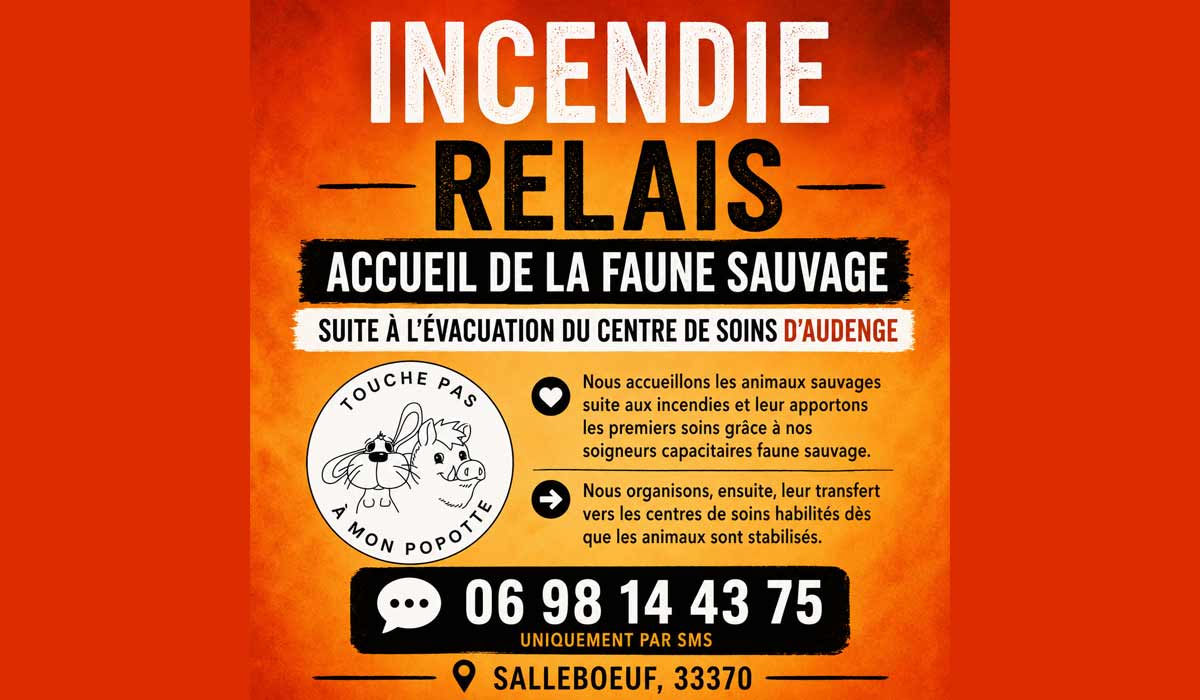 Accueil de la faune sauvage afin de pallier l’évacuation du centre de soins d’Audenge (LPO)