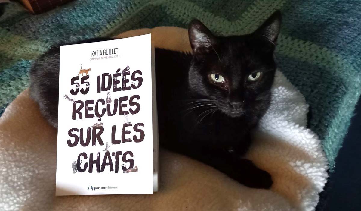 55 idées reçues sur les chats