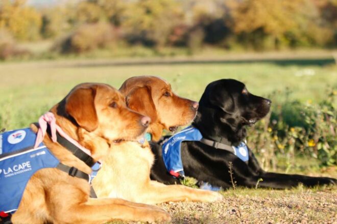 Damien et Soap : une relation de confiance