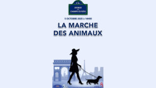 Bien-être animal – Une première à Paris, au parc Monceau. Des chiens autorisés sans laisse, sur les pelouses