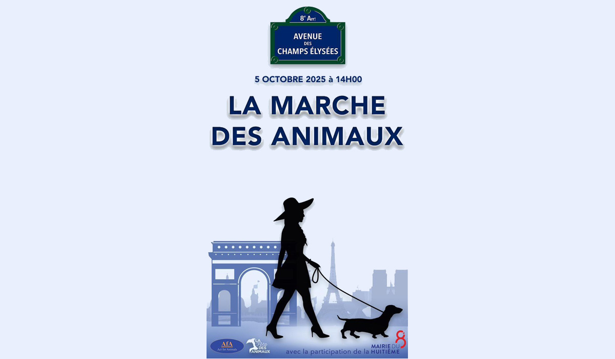 Bien-être animal – Une première à Paris, au parc Monceau. Des chiens autorisés sans laisse, sur les pelouses