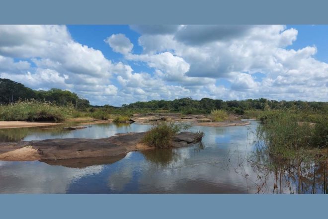 Cohabiter avec les éléphants : comprendre les relations qui conditionnent la coexistence (1/3)