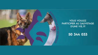 Présentation de l’Association La Voix des Animaux