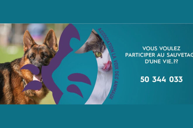 Présentation de l’Association La Voix des Animaux
