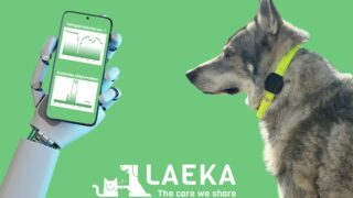 Comment Laeka anticipe les troubles du comportement et prévient les maladies de votre poilu