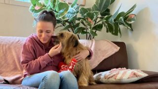 Bilan 2023 et perspectives 2024 pour nos animaux de compagnie ?