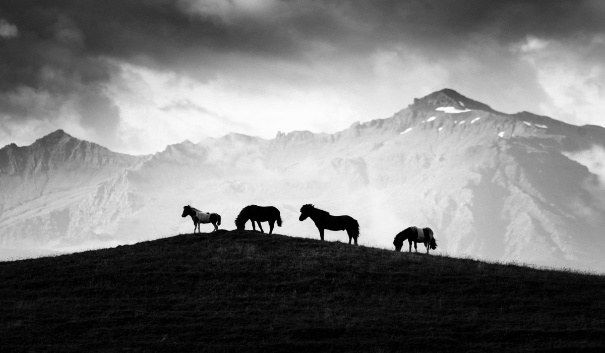 ArTypique Galerie présente Laurent Baheux Equi-Libre