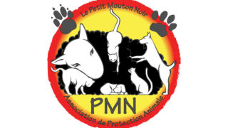 Une fin de vie en couleurs au sein de l’association “Le petit mouton noir”