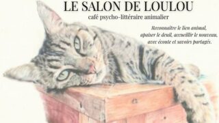 Le Salon de Loulou : dans le silence des dernières traces de pattes, quand arrive l’heure du deuil animal