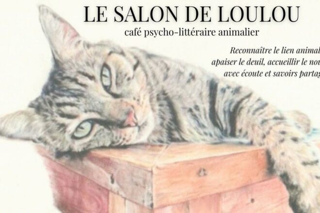 Le Salon de Loulou : dans le silence des dernières traces de pattes, quand arrive l’heure du deuil animal