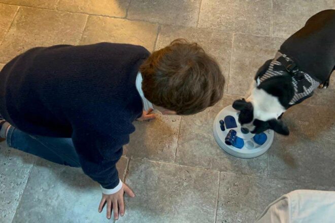 Les chiens de justice : repenser l’accompagnement des publics vulnérables pendant leur parcours judiciaire