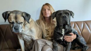 Quand les actionnaires du Québec deviennent la voix des êtres animaux