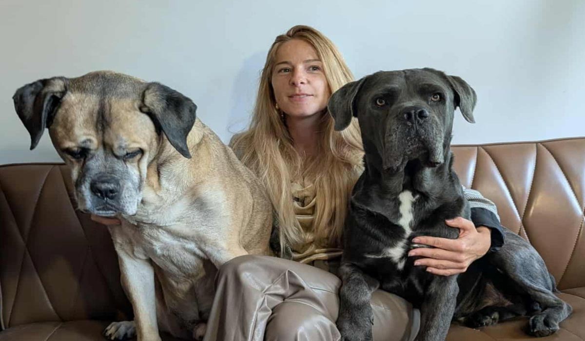 Quand les actionnaires du Québec deviennent la voix des êtres animaux
