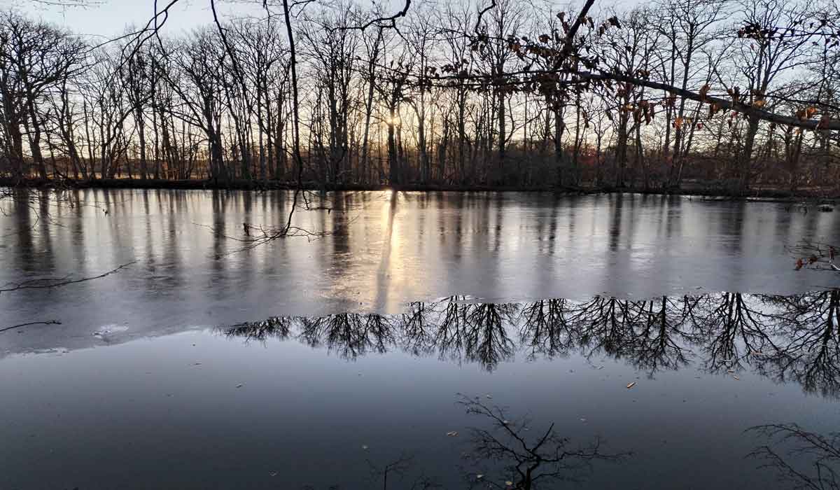 Violences envers une personne qui défend la Nature