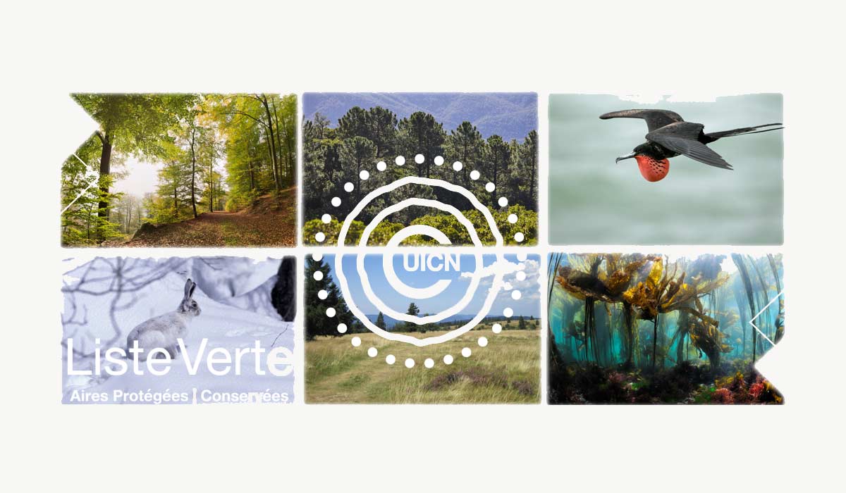 Liste verte des aires protégées de l’UICN : 7 aires protégées françaises récompensées pour leur gestion exemplaire Liste verte des aires protégées de l’UICN : 7 aires protégées françaises récompensées pour leur gestion exemplaire