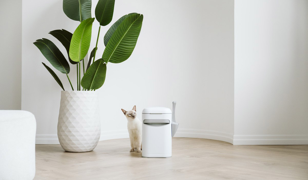 Quand la poubelle à litière devient un accessoire déco