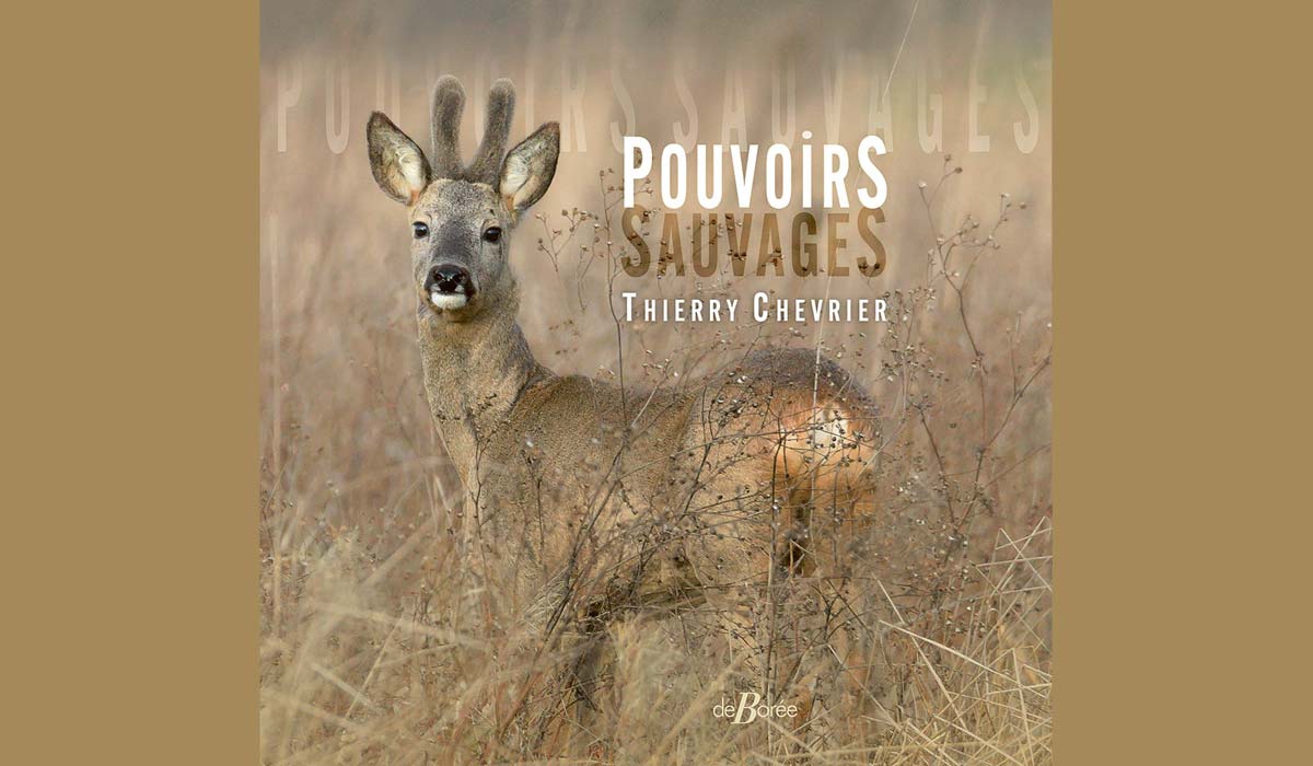 Pouvoirs sauvages, de Thierry Chevrier
