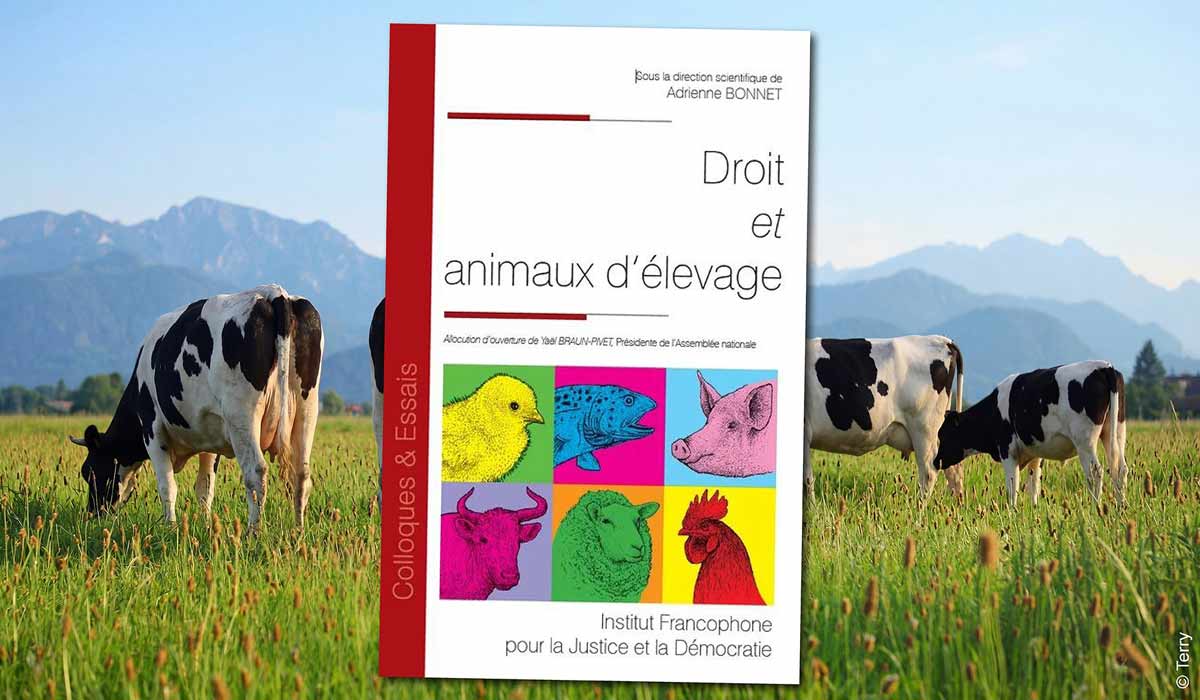 Parution de l’ouvrage collectif « Droit et animaux d’élevage », issu du colloque intitulé « Regards croisés : le législateur face aux animaux d’élevage » coorganisé par Welfarm et l’Institut fédératif de recherche sur les transitions juridiques