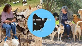 Le courage d’une lionne, Corinne Teissier fondatrice de la kasba de Loulou