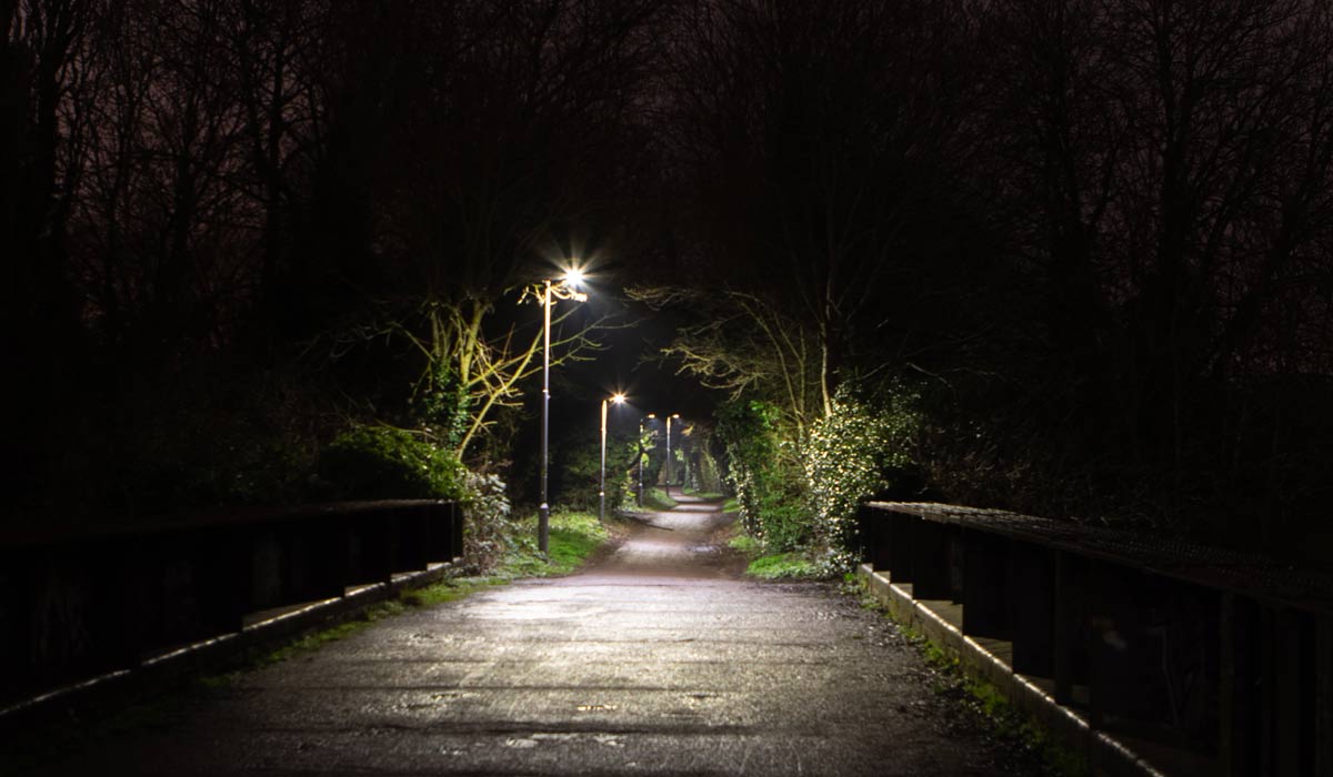 Aménagement urbain, éclairage et respect des animaux nocturnes
