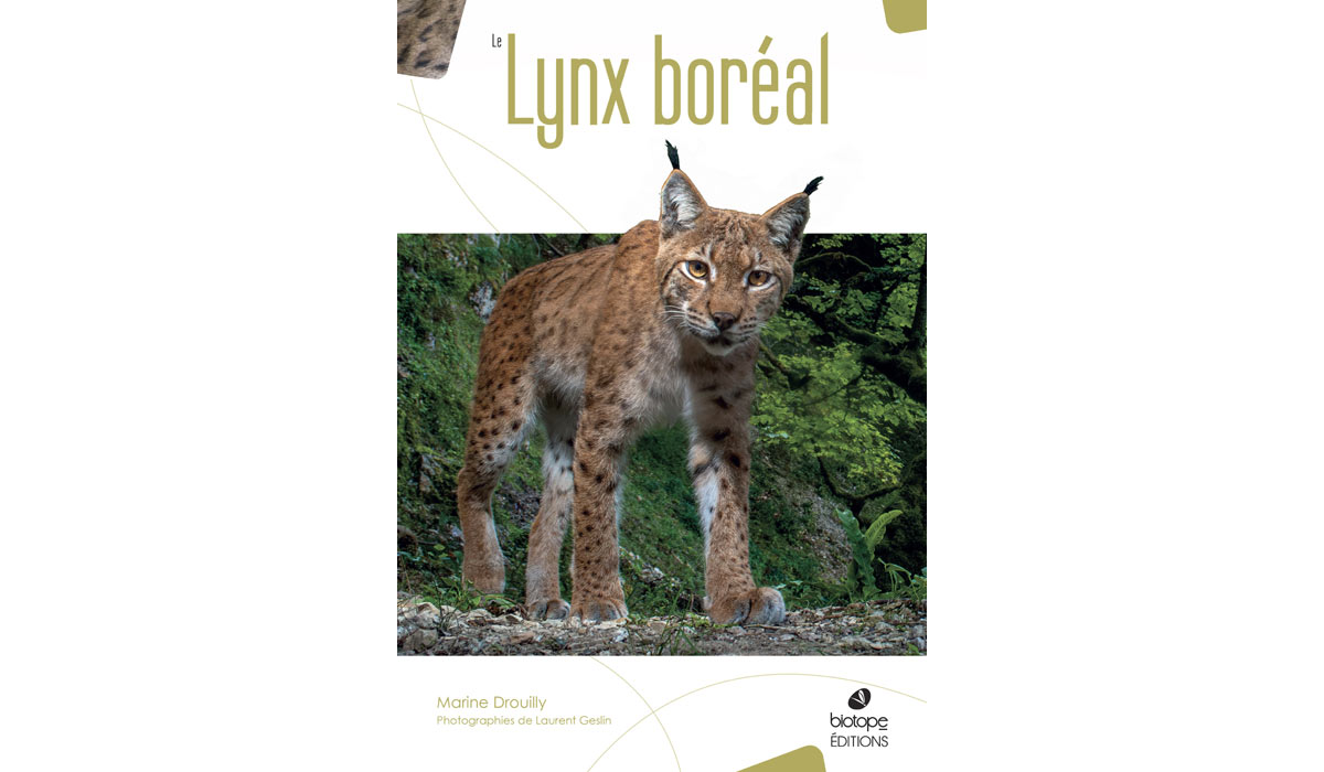 Les Éditions Biotope annoncent la publication du Lynx Boréal Les Éditions Biotope annoncent la publication du Lynx Boréal