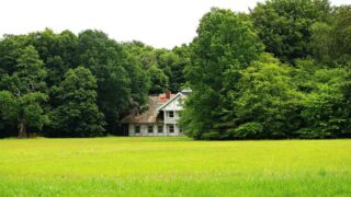 ACCA ou pas : droit d’opposition ou de non-chasse. Variable géographique, inefficacité législative