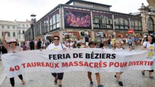 Grande manifestation à Béziers le 17 août 2024 : le COLBAC appelle à la mobilisation contre les corridas pendant la Féria