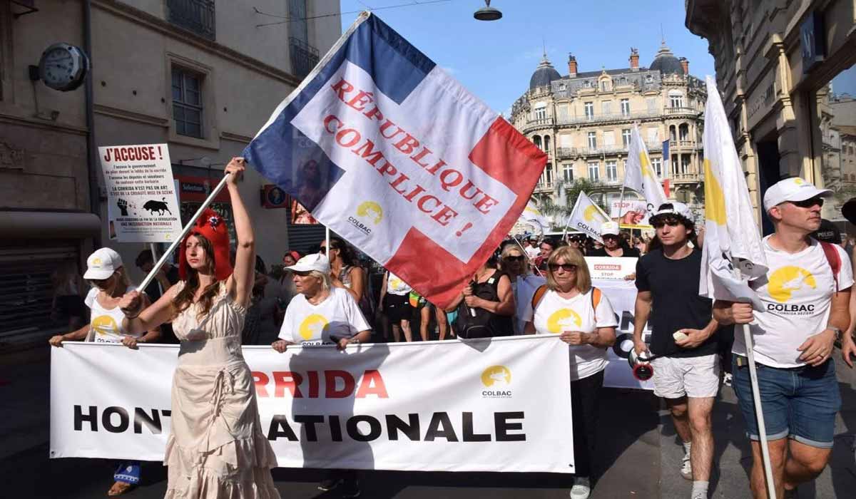 Grande manifestation anticorrida – La corrida vit sous perfusion d’argent public Grande manifestation anticorrida – La corrida vit sous perfusion d’argent public