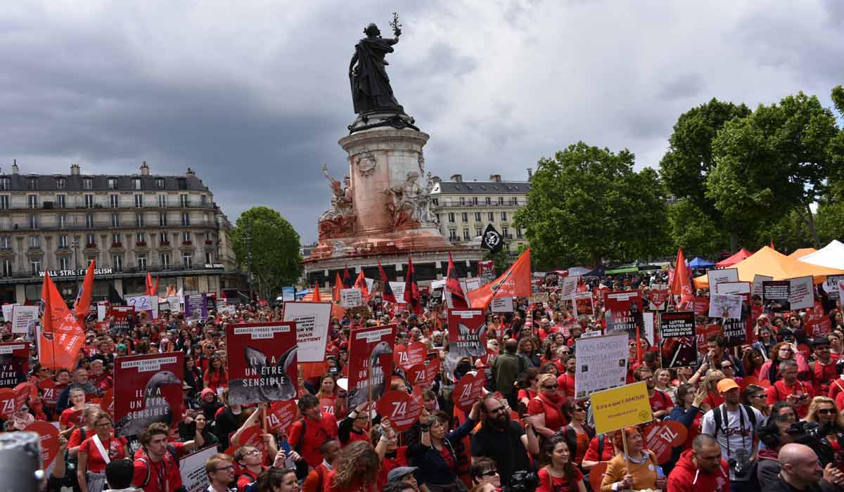 3 octobre : marche pour la fermeture des abattoirs : une mobilisation nationale pour les animaux