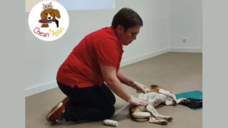 Apprendre à sauver son animal : la mission de Cheun’Apan Formations