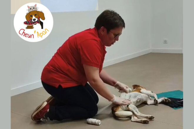 Apprendre à sauver son animal : la mission de Cheun’Apan Formations