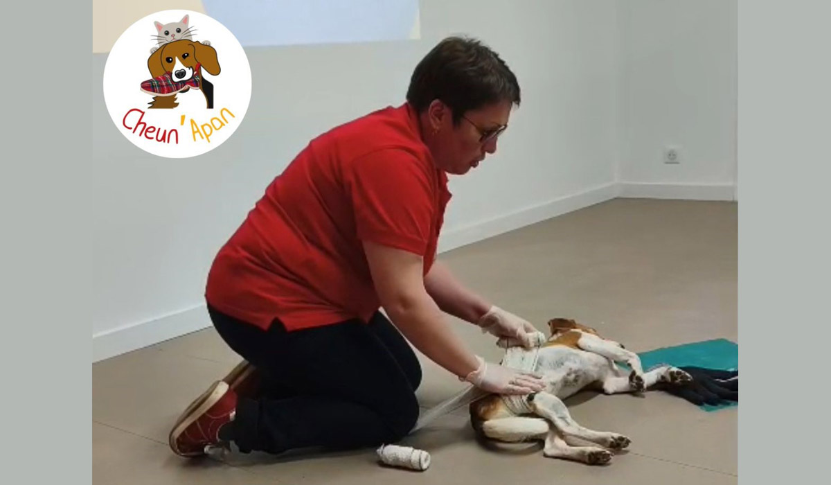 Apprendre à sauver son animal : la mission de Cheun’Apan Formations Apprendre à sauver son animal : la mission de Cheun’Apan Formations