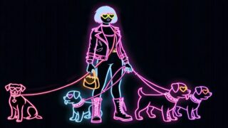 Création artisanal d’accessoires canins : Attache-moi si tu peux®