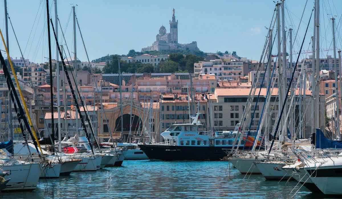 A Marseille, le Printemps des Animaux !