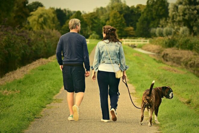 Un master en éthique animale