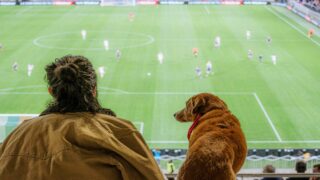 200 chiens sont invités au stade pour la demi-finale féminine