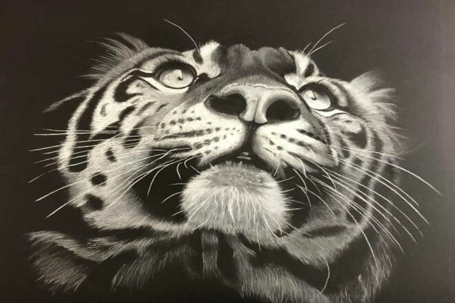 Je dessine l’âme des animaux