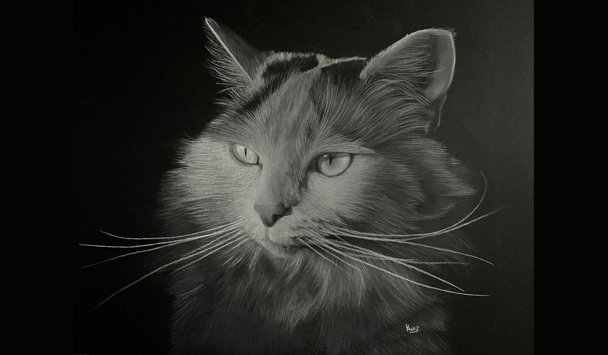 Quand l’art devient refuge : dessiner pour défendre la cause animale Quand l’art devient refuge : dessiner pour défendre la cause animale