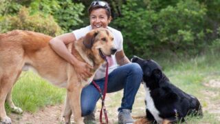 Instinct de Chien, l’exploration canine ou comment naviguer entre passion et renouvellement