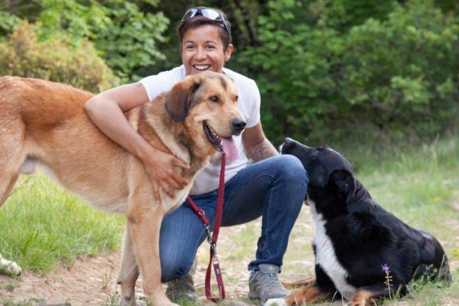 Instinct de Chien, l’exploration canine ou comment naviguer entre passion et renouvellement