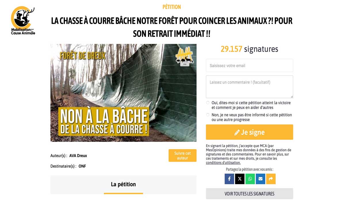 Chasse à courre : Ava Dreux lance une pétition contre le bâchage de la forêt
