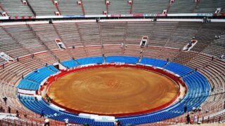 Face à l’inertie des politiques, la voie juridique pour abolir la corrida à Mexico