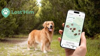 Animaux perdus : Lost’Him veut installer le réflexe qui rend chaque signalement plus visible et plus utile