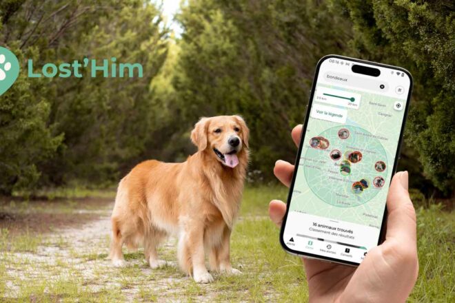 Animaux perdus : Lost’Him veut installer le réflexe qui rend chaque signalement plus visible et plus utile